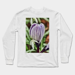 crocus snowdrop and water droplets Long Sleeve T-Shirt